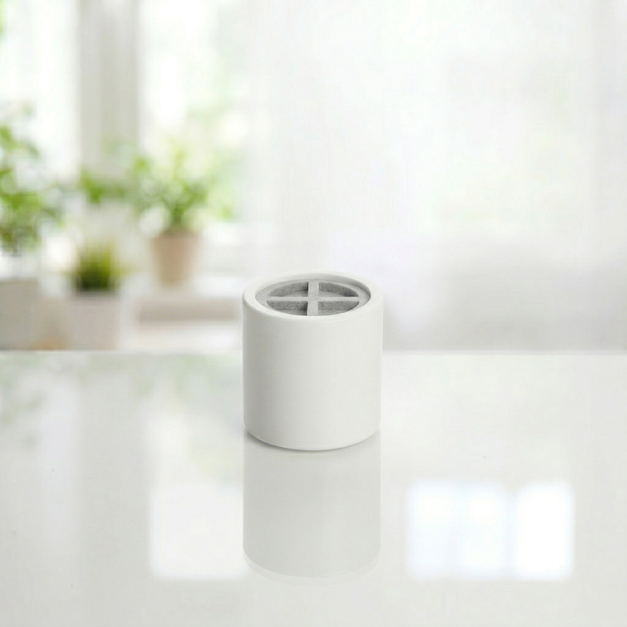 Rain Shower Refill Filter